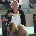 honden foto CH Multi-kampioen
U'Tako of Tsar de Koempfer