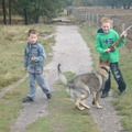 honden foto 