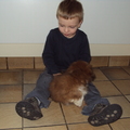 honden foto onze kleinzoon Jelle met Bo