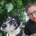 honden foto 