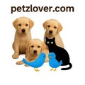 honden foto 