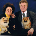 honden foto carla en frits lohuis van de petit poms kennel