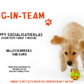 honden foto 